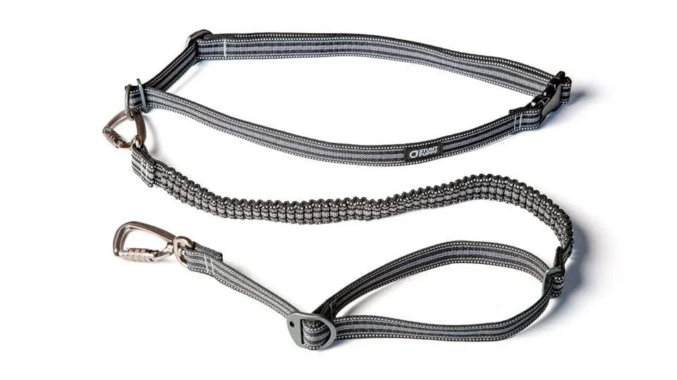 Stunt Puppy Stunt Runner Go Dog Glo Leash