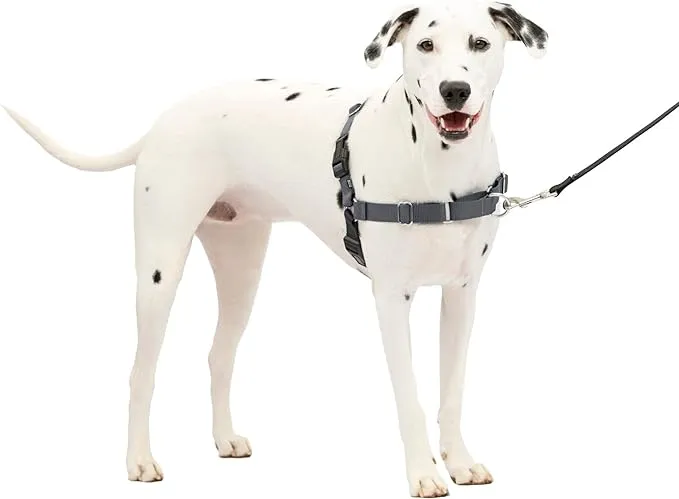 PetSafe Easy Walk Harness No Pull Dog Harness - Medium/Large - Charcoal