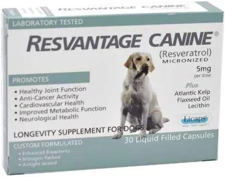 Overall Canine Health