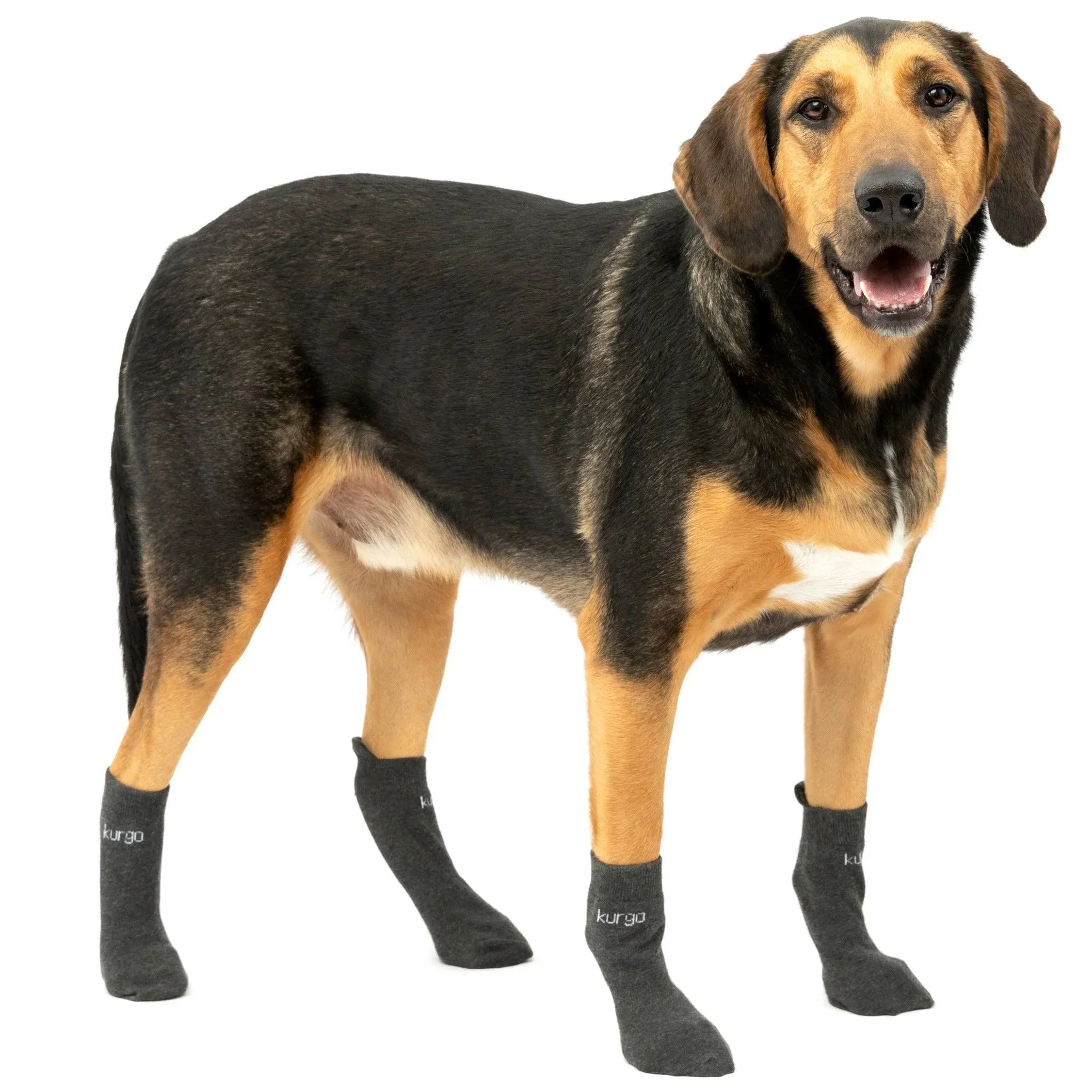 Kurgo Blaze Dog Socks