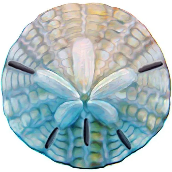 Sand Dollar Porcelain Pool Mosaic ( 3.5" X 3.5" ), 3.5" X 3.5" - Beach Style - Mosaic Tile - by Blue Water Pool Mosaics | Houzz