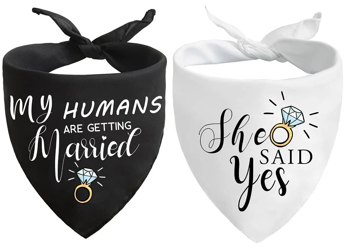 Engagement Pet Scarfs