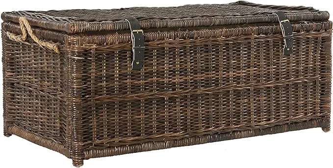 happimess Caden 46 in. Brown Wicker Storage Trunk