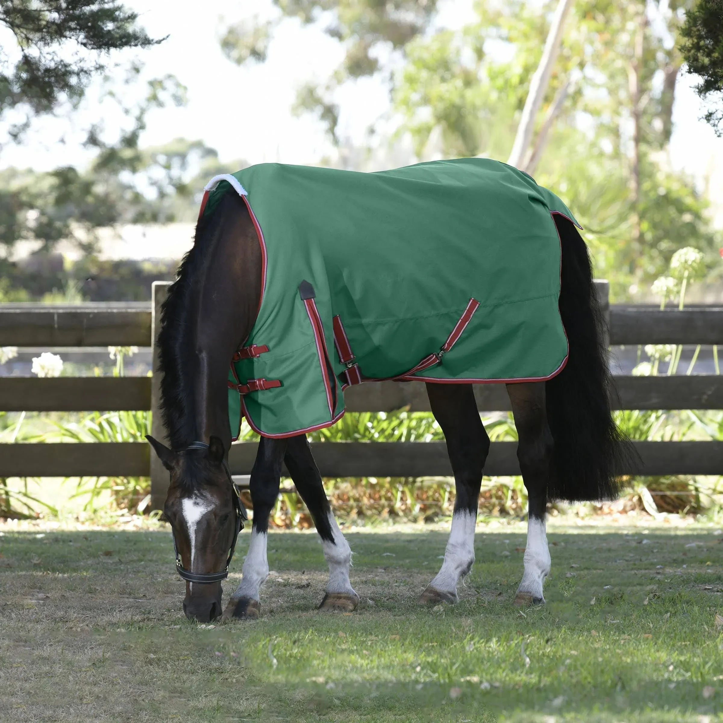 WeatherBeeta ComFITec Prelim Standard Neck Horse Turnout Blanket