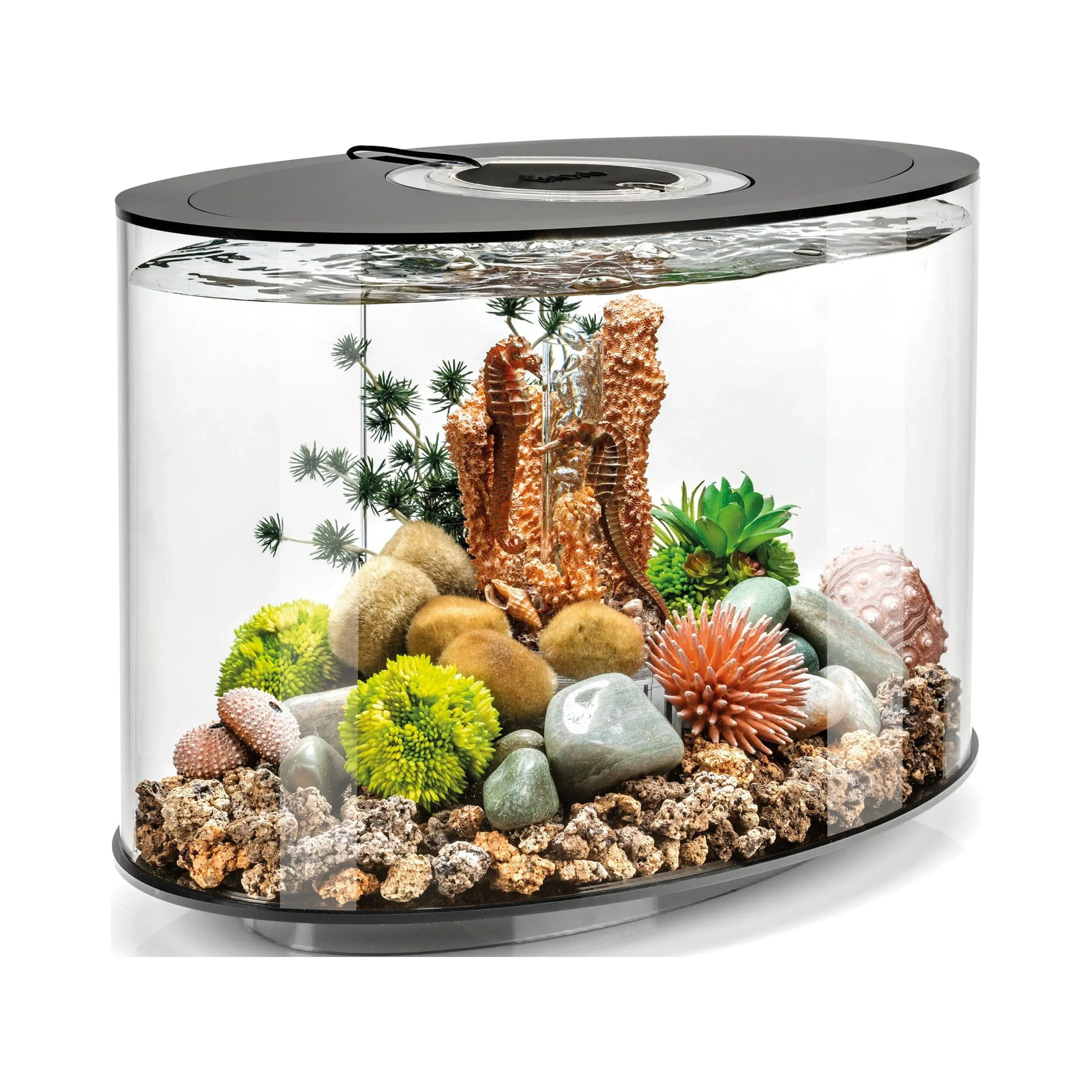 biOrb Loop 15 Aquarium with Standard Light - 4 Gallon, Black