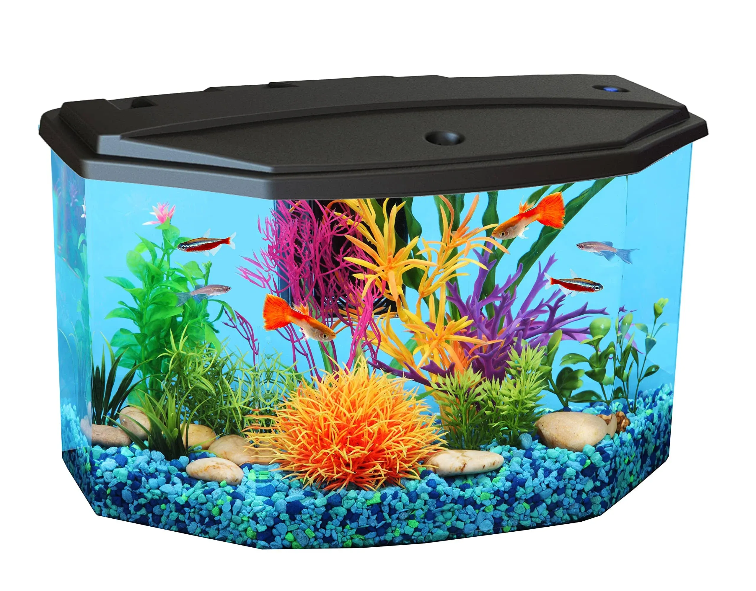 Plastic 3-Gallon Aquarium Starter Kit with 7 Colors LED Lighting and Complete Fi