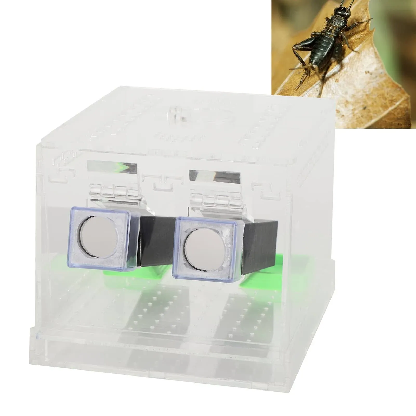 Shanrya Acrylic Feeding Cricket Keeper Cricket Care Kit with Tubes with Feces ...