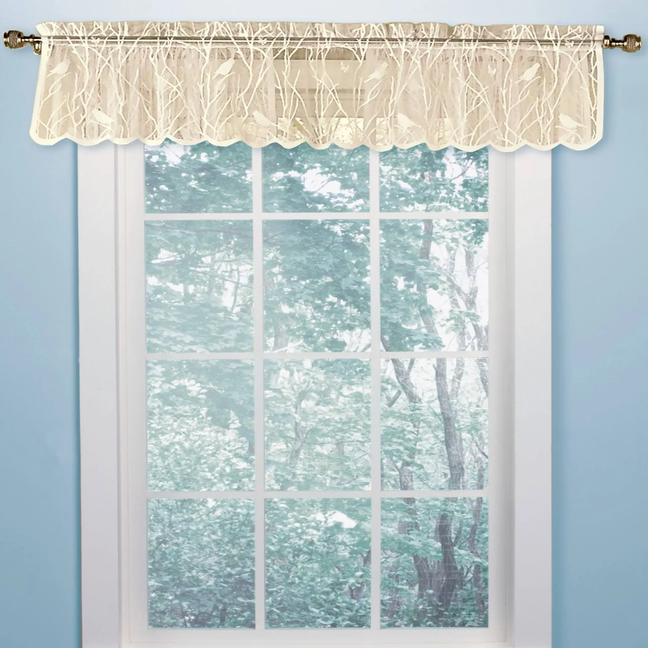 Collections Etc Lace Window Valance 56-inch x 12-inch with Songbirds & Branches, White