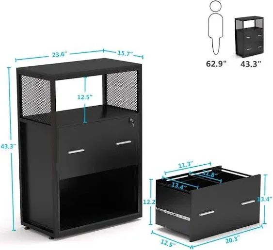 Tribesigns 2 Drawer Lateral File Cabinet, Large Modern Filing Cabinet for Letter ...