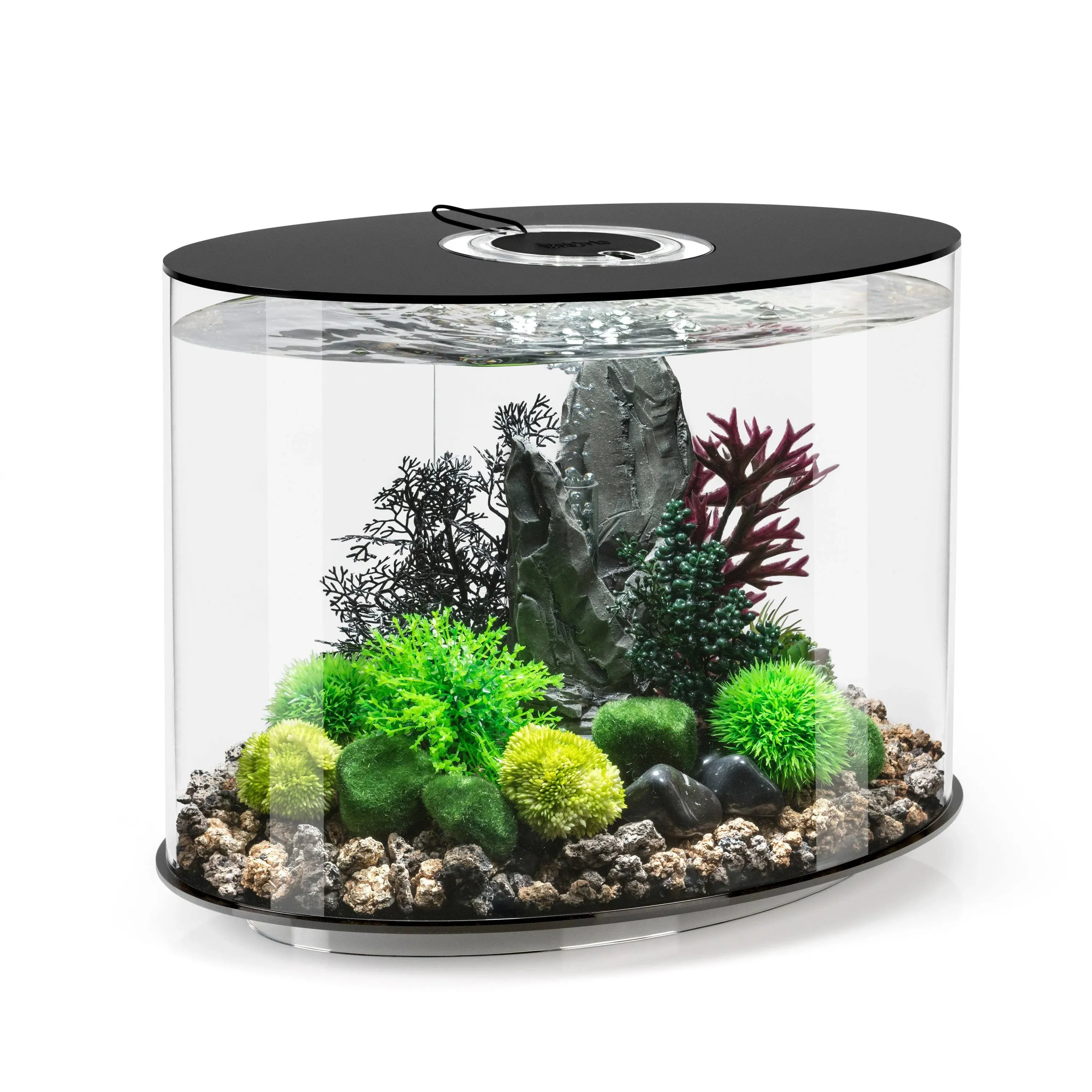 biOrb Black Loop 30 Aquarium with Standard Light, 8 Gallon