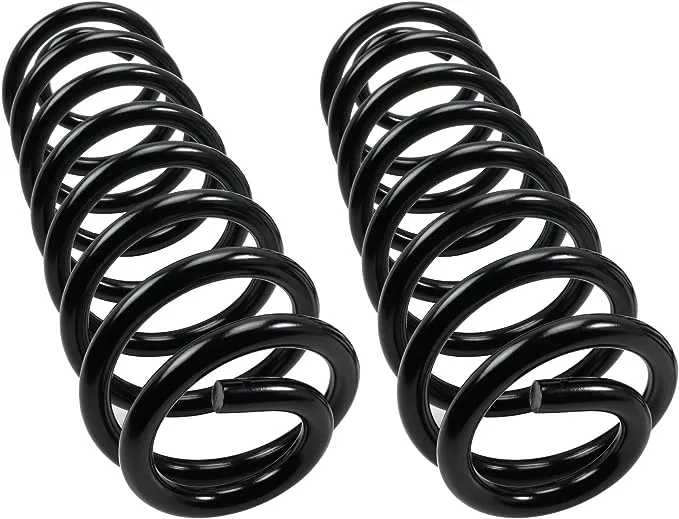 MOOG 81069 Coil Spring Set