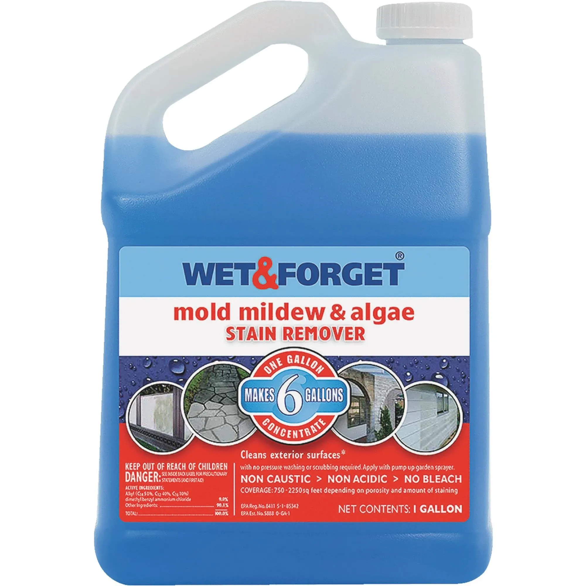 Wet & Forget Outdoor Liquid Surface Cleaner & Stain Remover, Eliminate Mold Mildew & Algae Stains