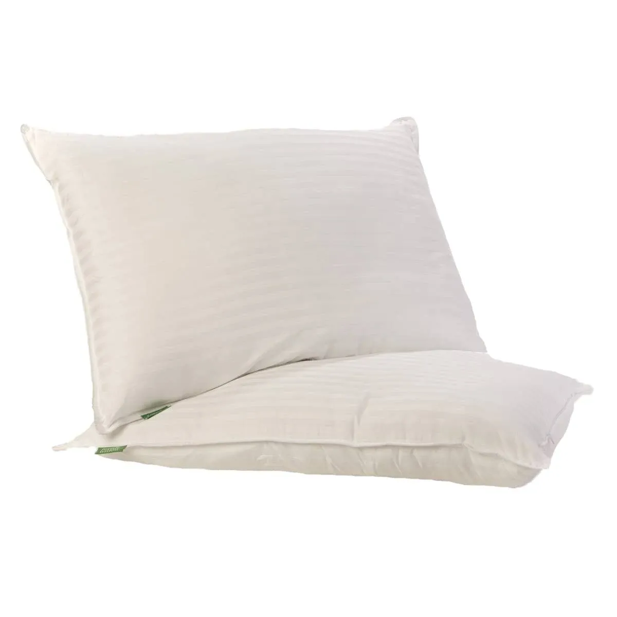 Fern and Willow Pillows for Sleeping - Set of 2 Queen Size