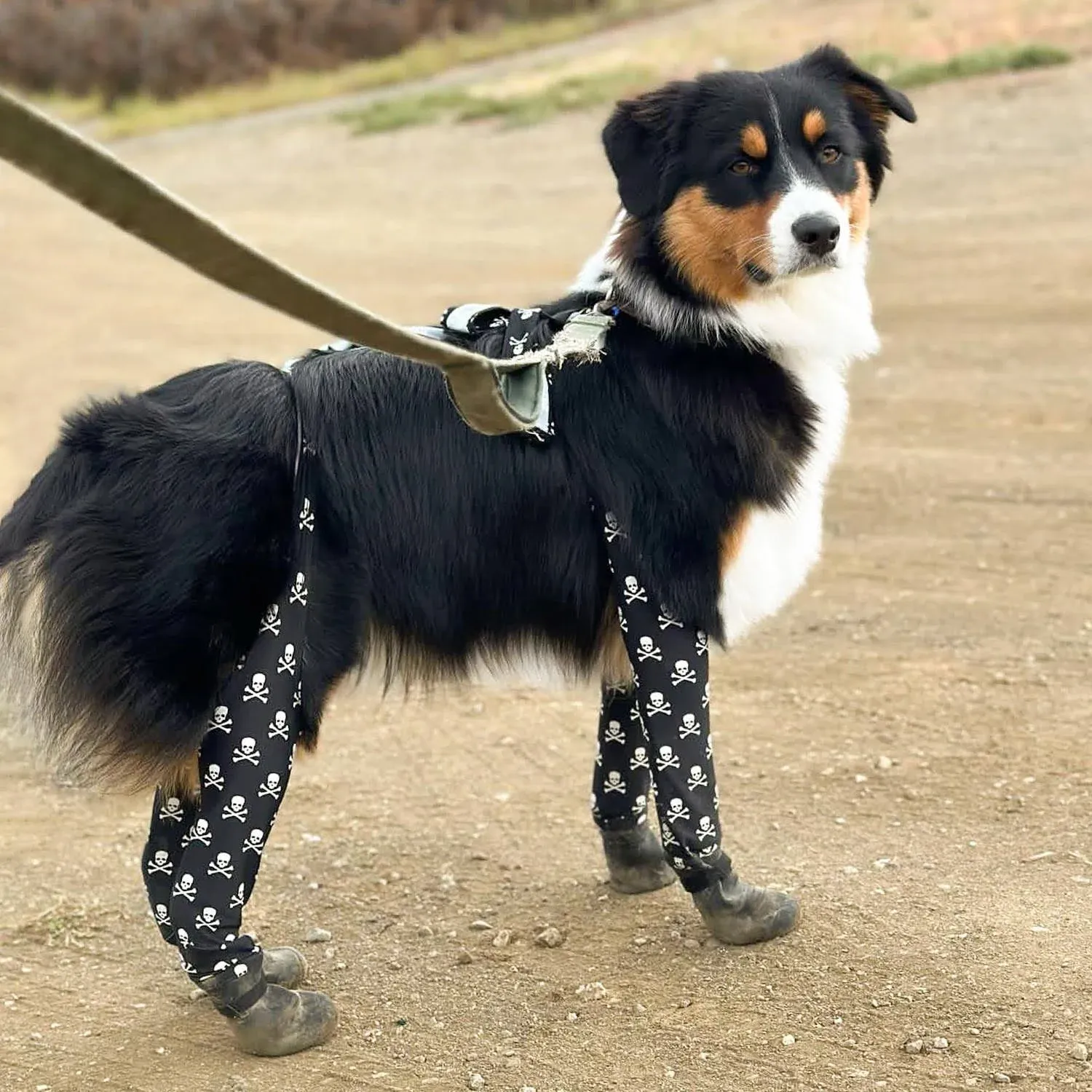 Walkee Paws Deluxe Easy On Waterproof Dog Boot Leggings for Snow / Rain - L Skulls