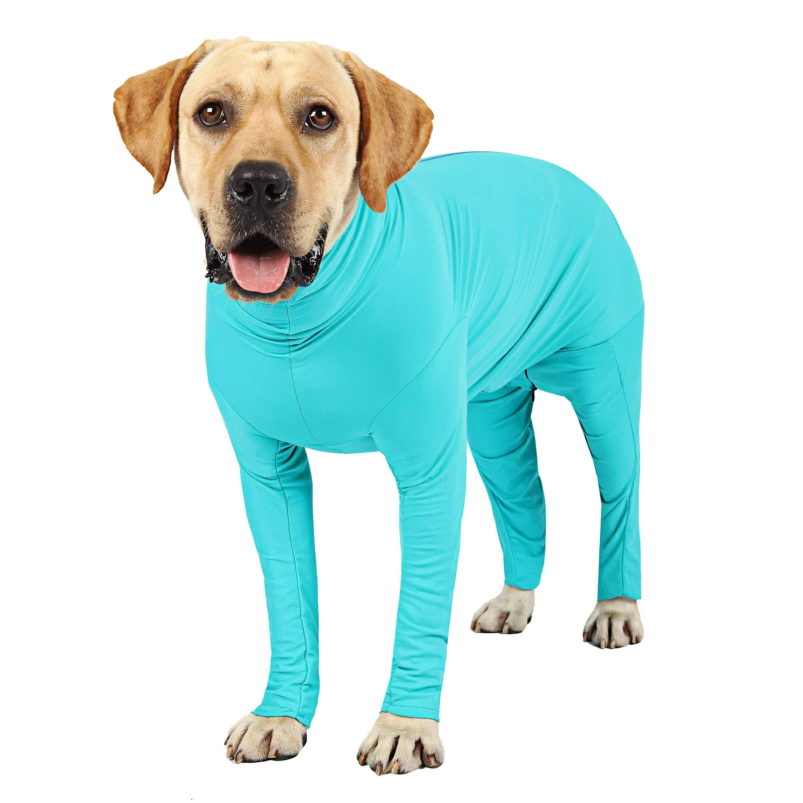 Etdane Dog Onesie