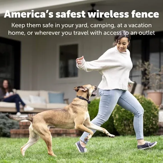 PetSafe Stay & Play Wireless Fence Receiver Collar