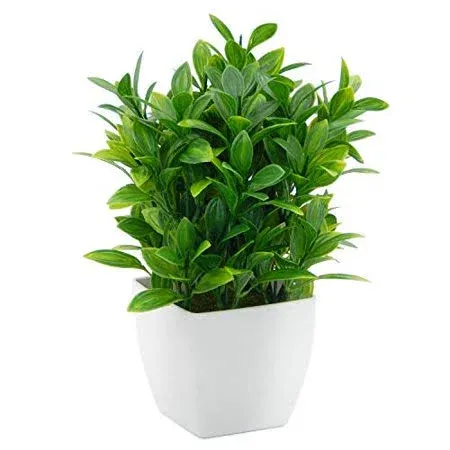 OFFIDIX Artificial Eucalyptus Plants