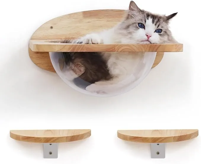 FUKUMARU Juego de muebles de pared para gatos, estantes de pared transparentes para gatos con 2 pedales, cama de alta calidad para dormir, jugar, escalar y descansar, soporta fácilmente hasta 35 librasFUKUMARU Juego de muebles de pared para gatos, estant