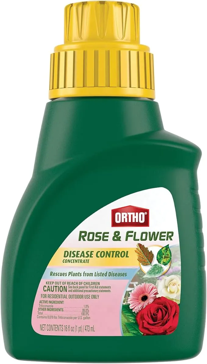 Ortho Rose and Flower Disease Control Concentrate - 16 oz bottle