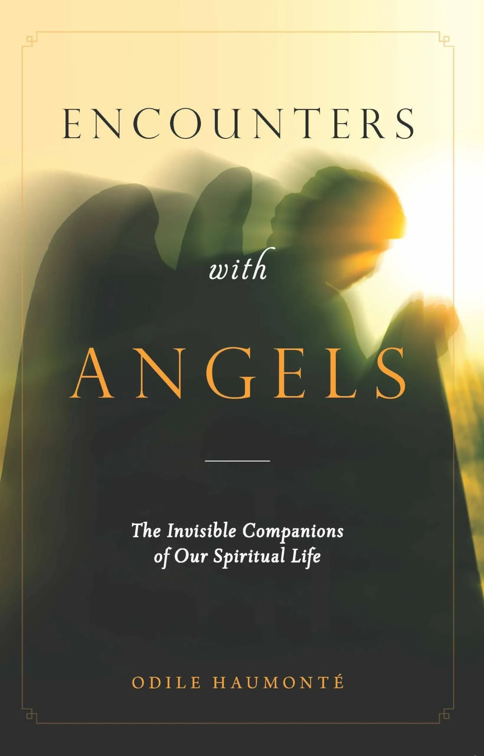 Encounters with Angels: The Invisible Companions of Our Spiritual Life [Book]