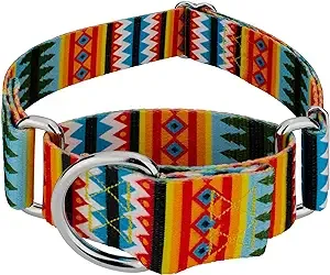 Country Brook Petz - Summer Pines Martingale Dog Collar - Country and Western Collection with 8 Rustic Designs (1 1/2 Inch, Large)