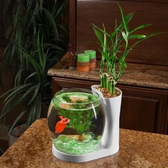 Elive Betta Fish Bowl / Betta Fish Tank with Planter, Small 0.75 Gallon Aquarium