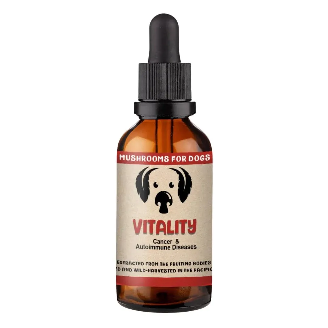 MycoDog Mushroom Vitality Tincture