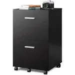 Black Devaise 2 Drawer Wood Filing Cabinet, Mobile Printer Stand, Fits A4 Or