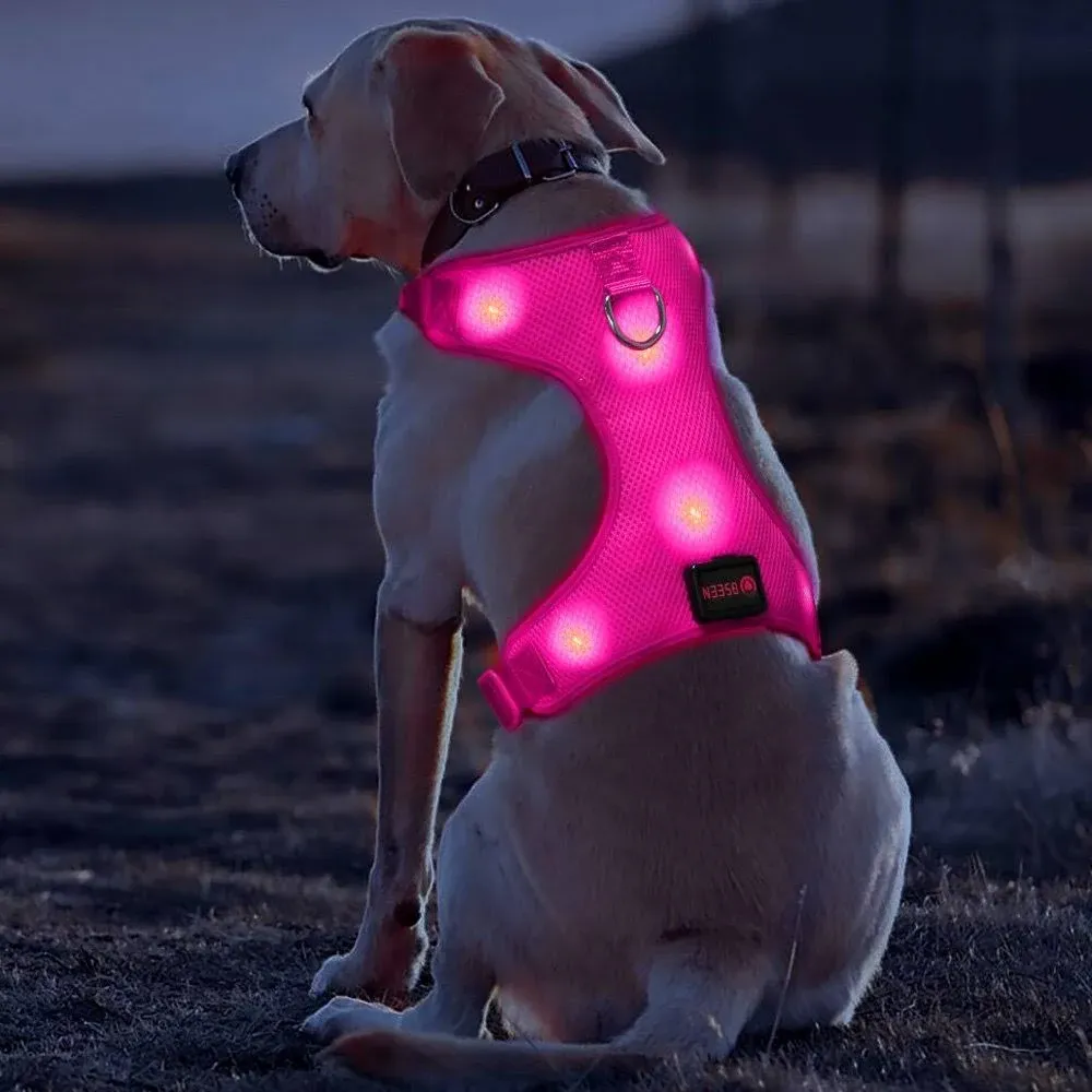 BSEEN Light Up Dog Harness - No Pull LED Dog Harness, Rechargeable LED Dog Vest ...