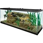 Tetra Glass Aquarium 55 Gallons, Rectangular Fish Tank (NV52018)