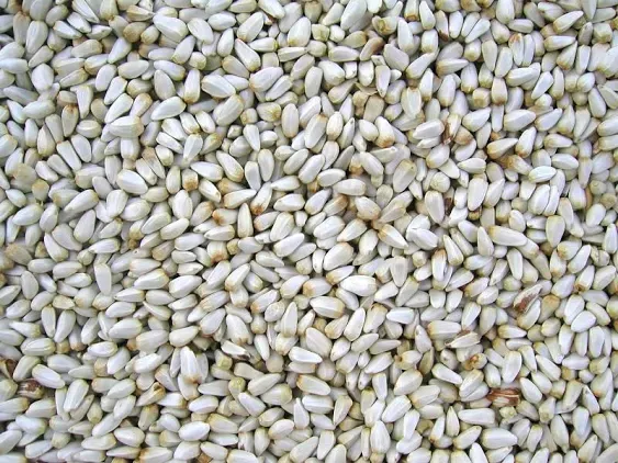 Cole's SA05 Wild Bird Food Assorted Species Safflower Seeds 5 lb