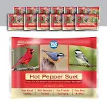 Blue Seal Hot Pepper Suet Cakes for Wild Birds - No Mess Suet Feed, Food for Woodpeckers, Cardinals, Siskins, Sparrows & More - 11oz Suet Feeder, Bird