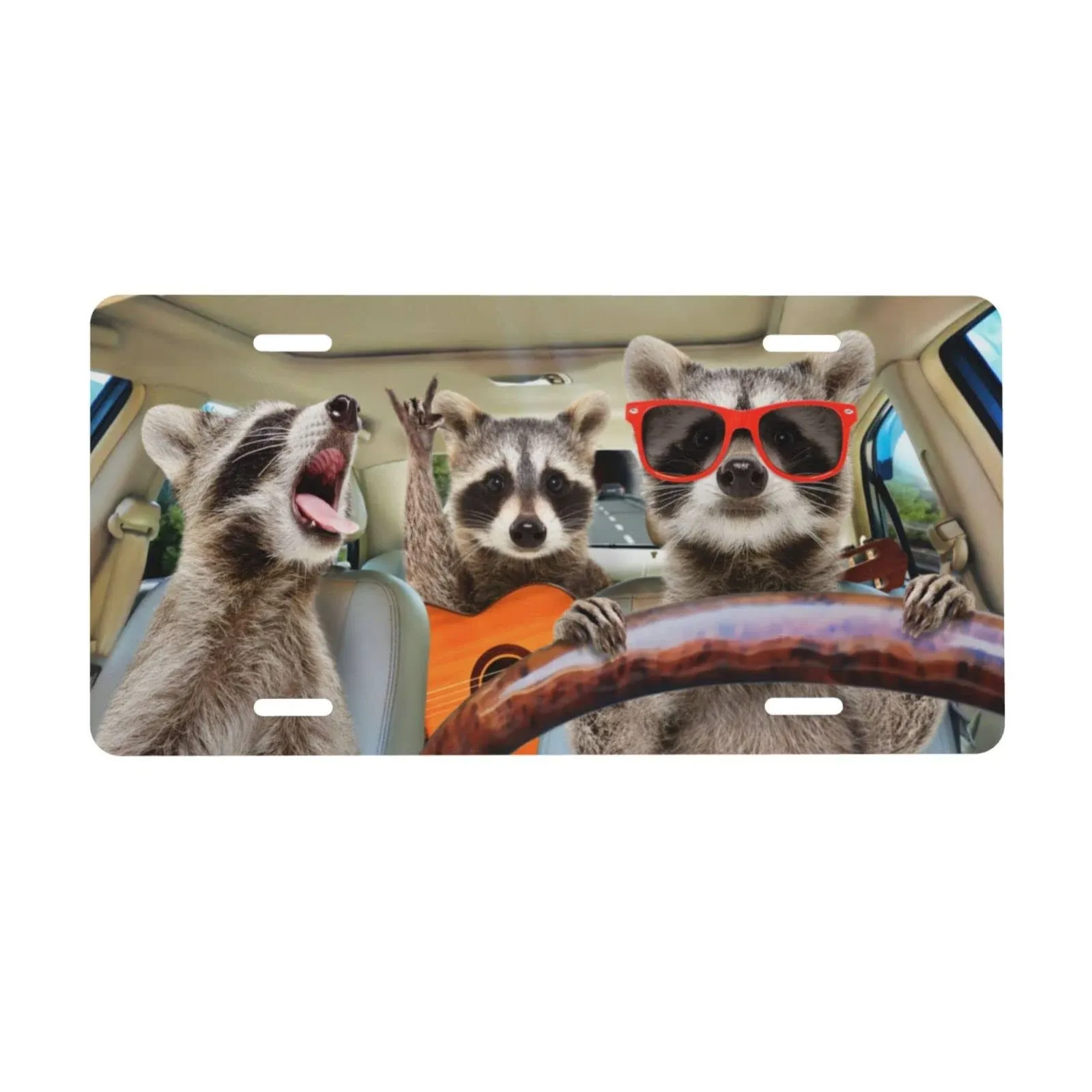 License Plate,Funny Raccoon Decorative Car Front,Metal Car Plate,License Plate,Vanity Tag,Aluminum Noverlty License Plate for Men/Women/Boy/Girls Car 6×12 Inch