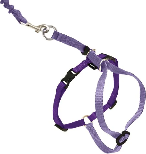 PetSafe Come With Me Kitty Harness and Bungee Leash, Harness for Cats, Large, Lilac/Bright PurplePetSafe Come With Me Kitty Harness and Bungee Leash,…