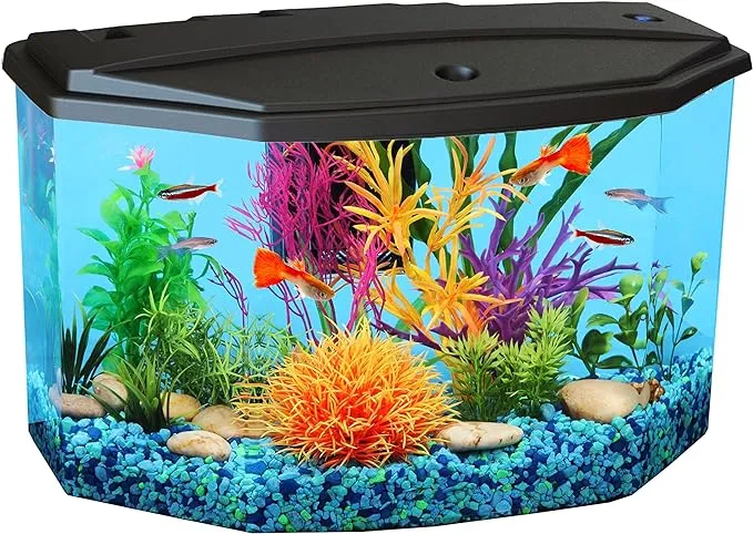 Koller Products Plastic 3-Gallon Aquarium Starter Kit with 7 Colors LED Lighting and Complete Filtration, Ideal for a Variety of Tropical Fish , Betta Fish, Tropical Fish, Cichlids, Ornamental ShrimpKoller Products Plastic 3-Gallon Aquarium Starter Kit…