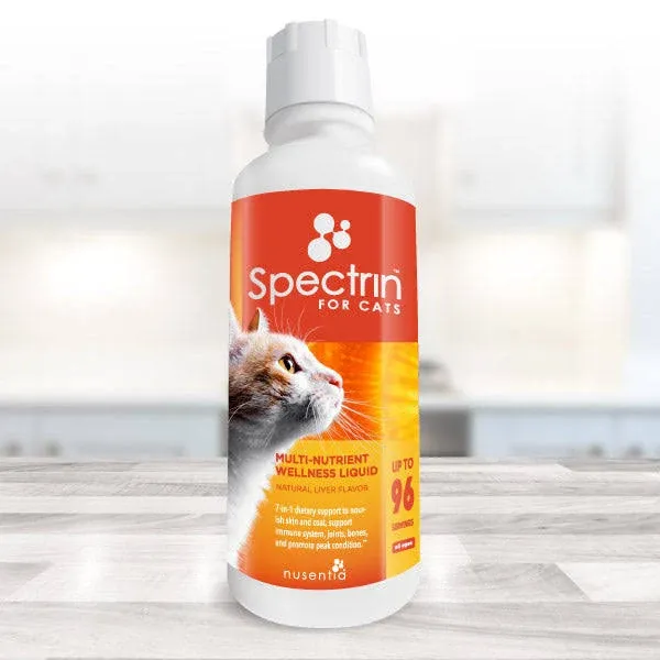 Best Cat Vitamins: Spectrin™ Liquid Supplement for Cats - Essential B12 & More