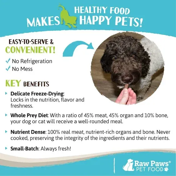 Raw Paws Freeze Dried Dog Food & Cat Food - Beef Recipe, 16-oz - Made in USA - Freeze-Dried Dog Food - Freeze Dried Raw Dog Food - Raw Dog Food Freeze Dried - Raw Food for Dogs - Freeze Dried Cat Food