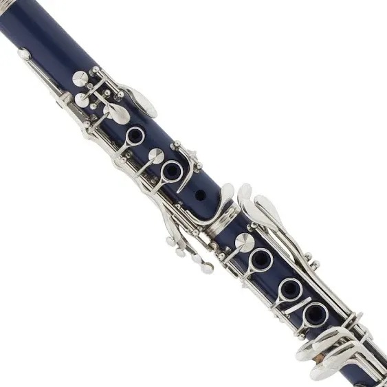 Mendini by Cecilio B Flat Beginner Clarinet with 2 Barrels, Case, Stand, Book, 10 Reeds, and Mouthpiece - Bb Student Clarinet Set, Wind & Woodwind Musical Instruments, Pink Clarinet