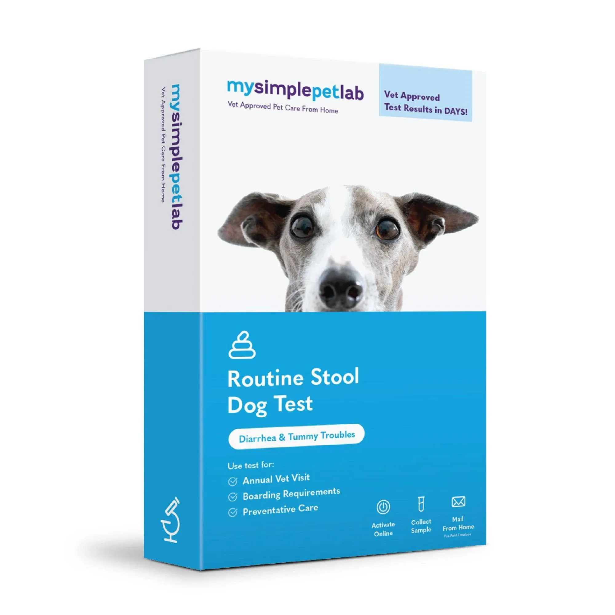 MySimplePetLab Routine Dog Stool Test Kit | Fast and Accurate Worms and Giardia Test for Dogs | Mail-in Stool Sample Kit Dog Test for Early Detection of Worms and Giardia