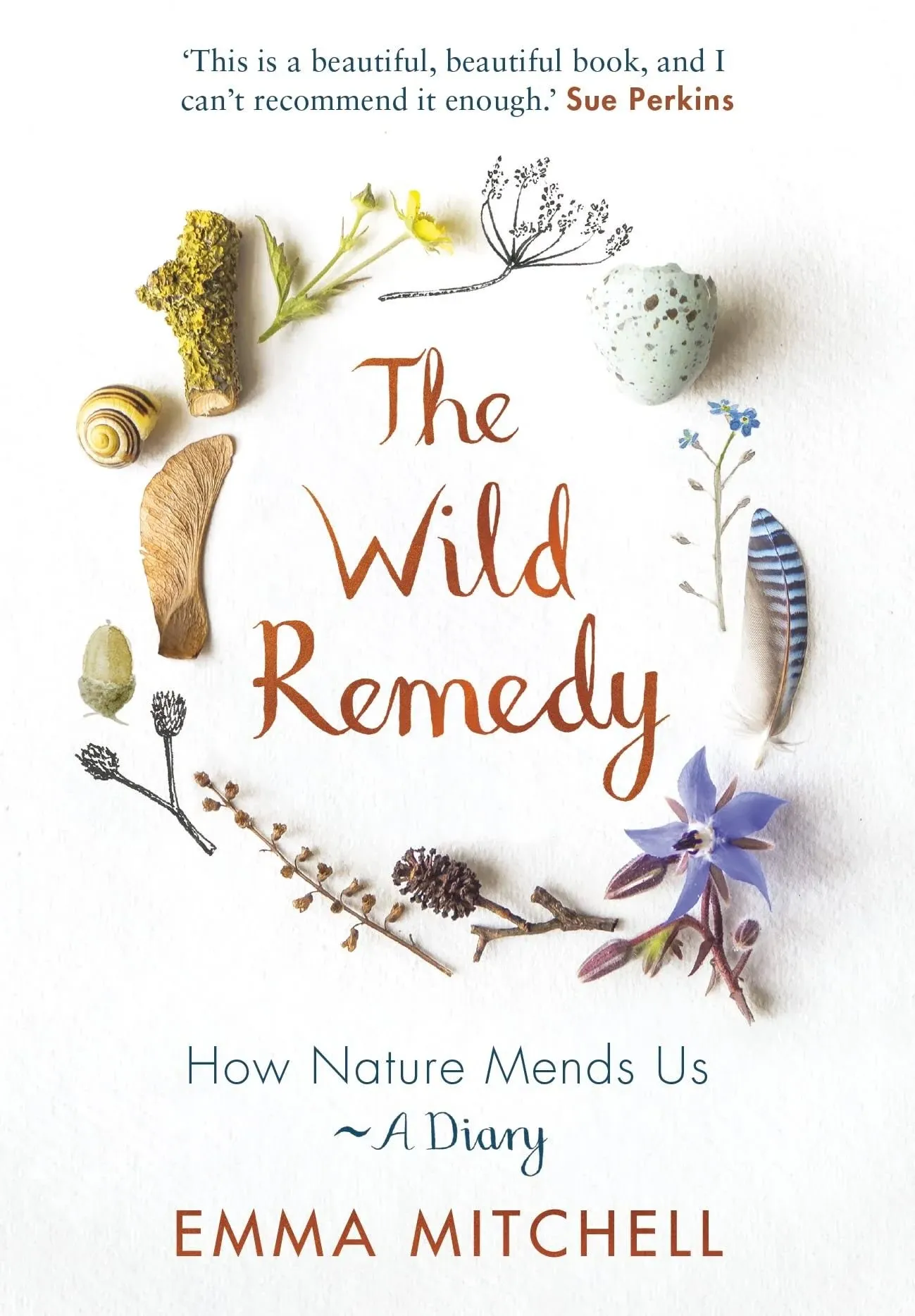 The Wild Remedy: How Nature Mends Us - A Diary [Book]