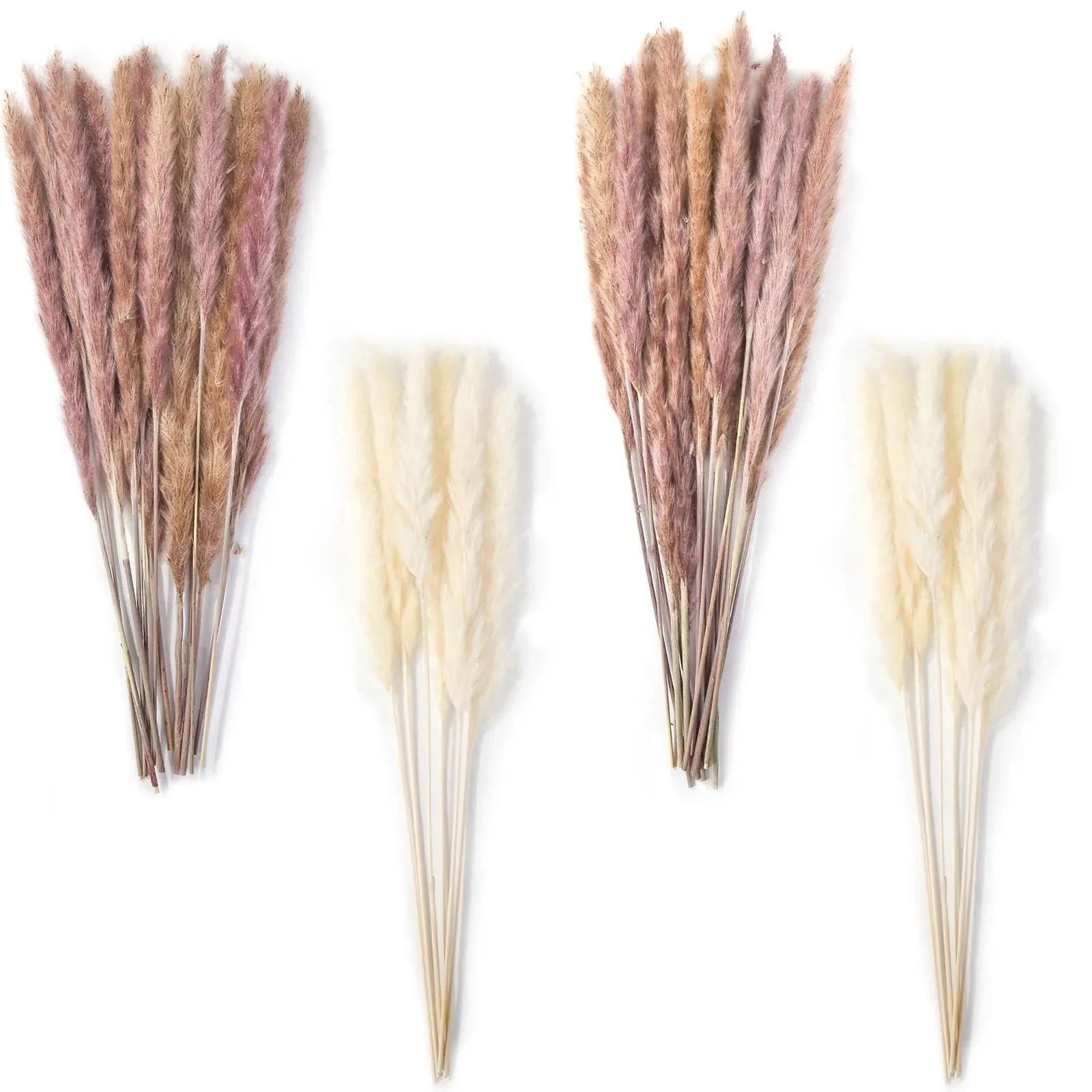 DomeStar 36PCS Pampas Grass, Natural Dried Pampas Reed Grass Plume Wedding 