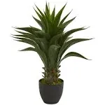 Artificial Agave Plant