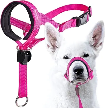 Goodboy Dog Head Halter with Safety Strap - Stops Heavy Pulling on The Leash ...