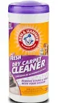 Arm & Hammer Pet Fresh Dry Carpet Cleaner - 18 oz