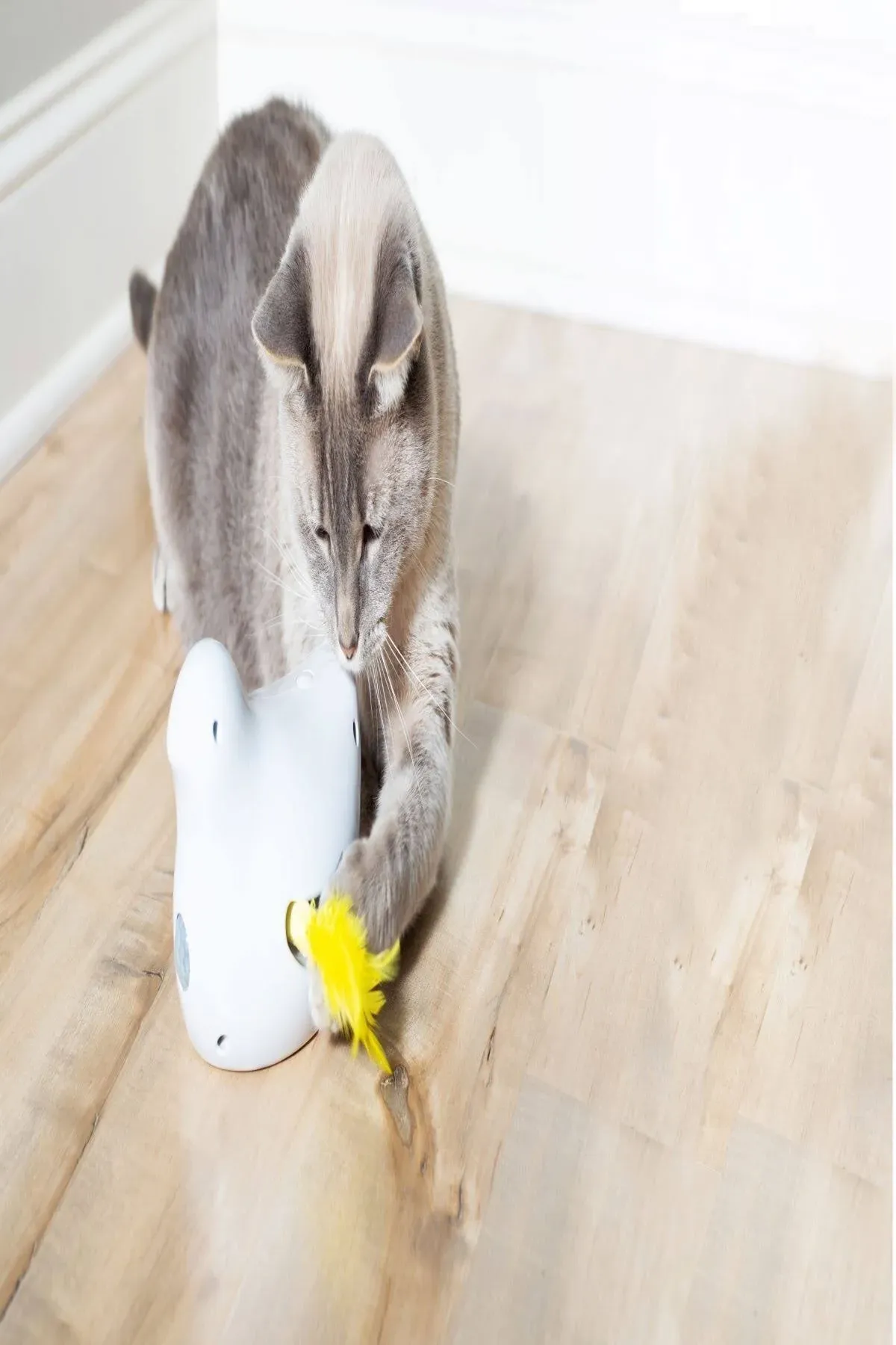 Peek-a-Bird™ Electronic Cat Toy