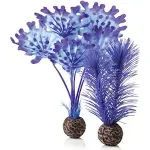 biOrb Kelp Set - Small - Purple