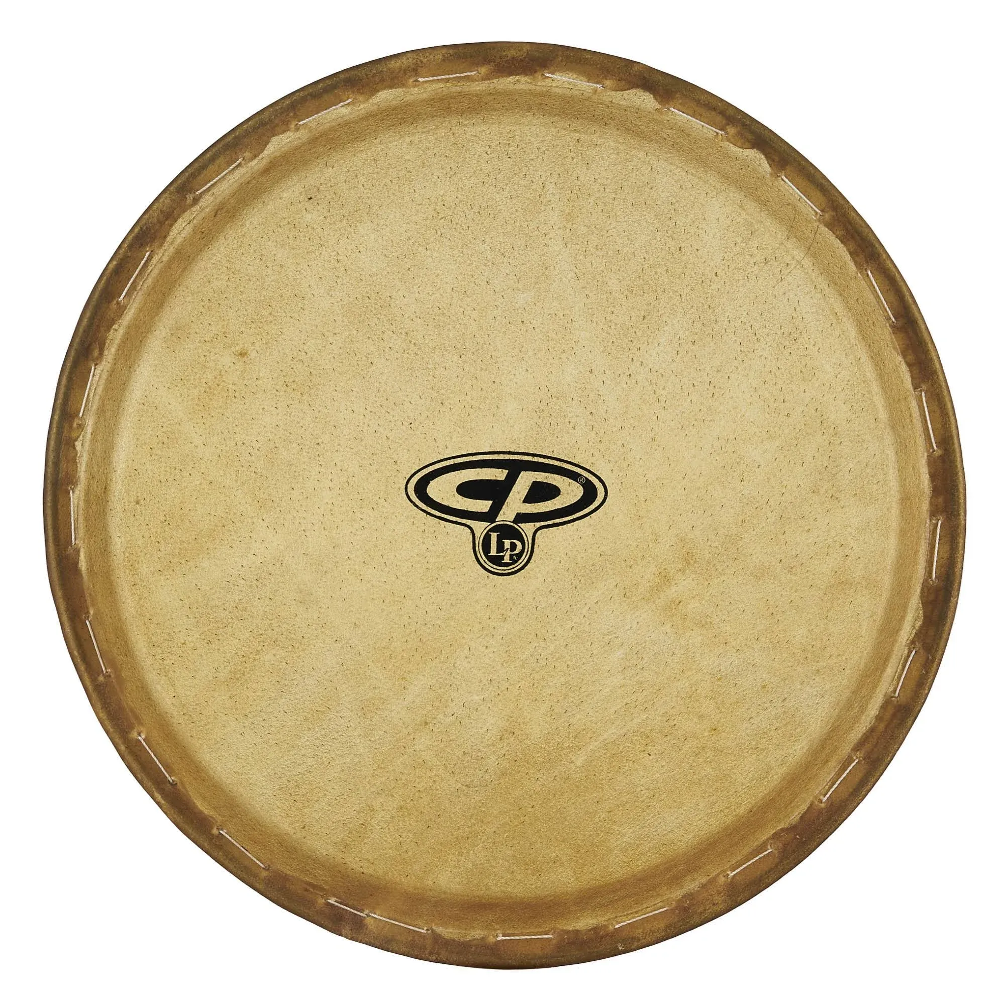 Latin Percussion CP640B 11-Inch Combo Rawhide Quinto Conga Head for CP646/CP643