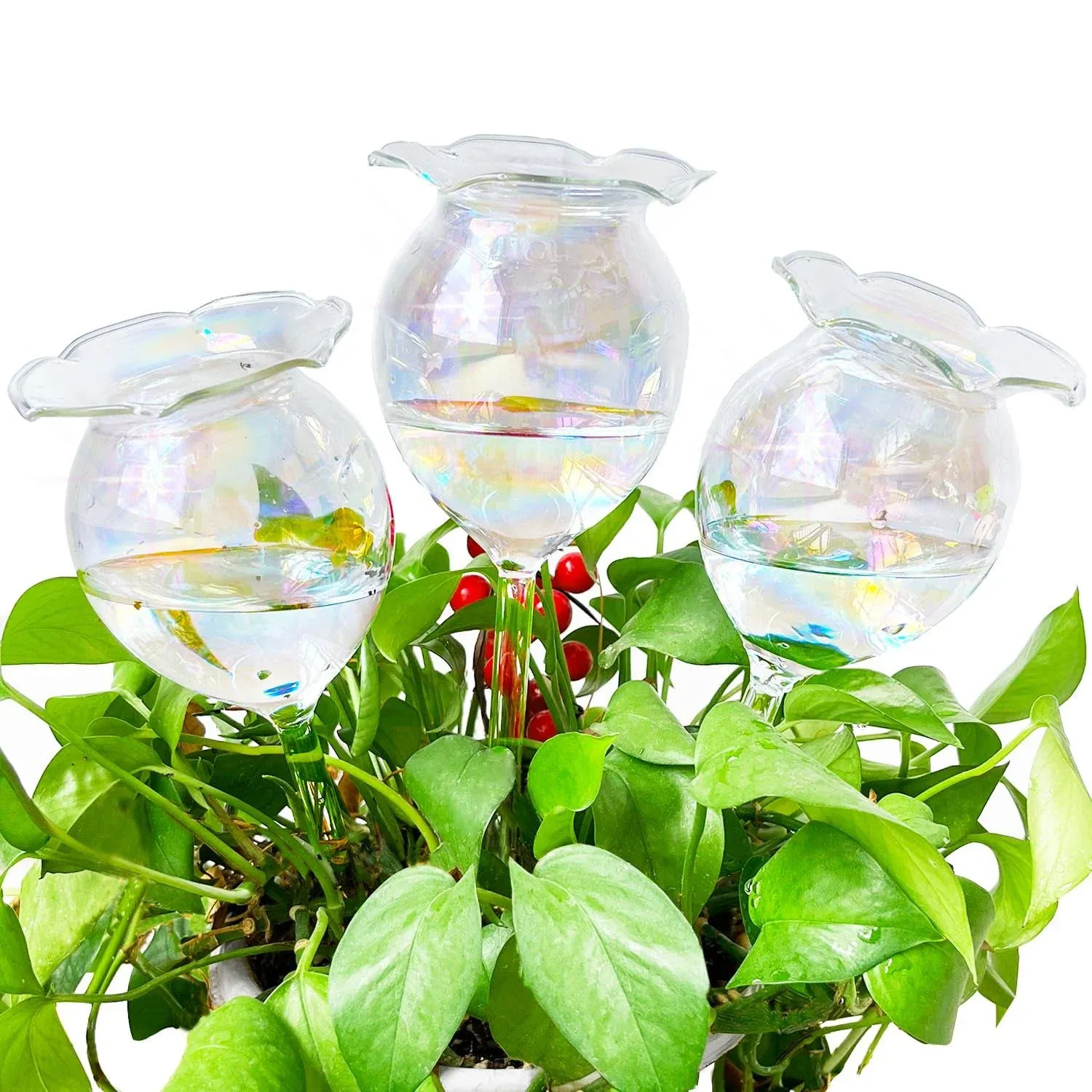 Self Watering GlobesIridesce<wbr/>nt Gradient Color Clear Glass Plant Water BulbsHa...