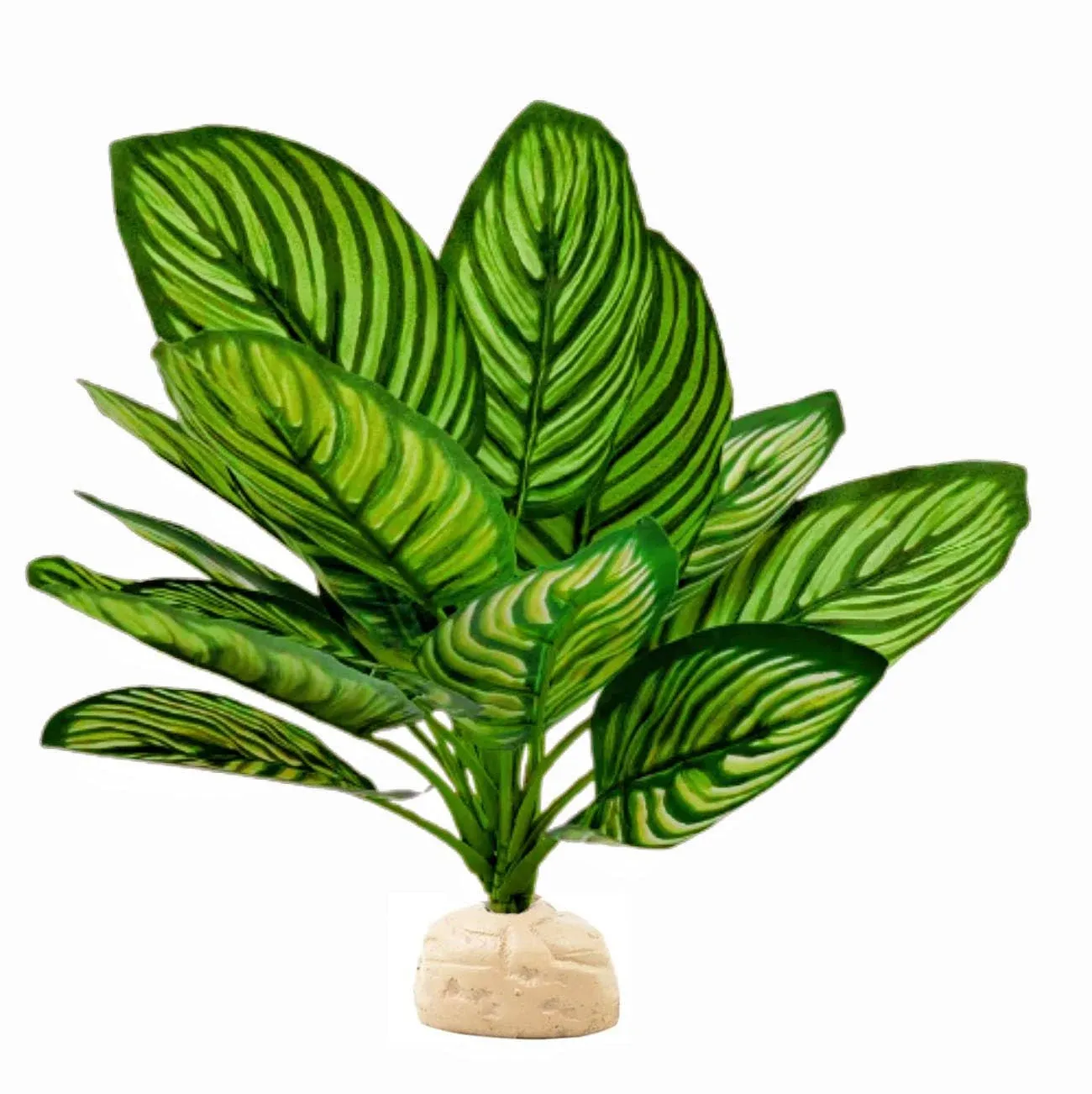 Reptile Terrarium Decor,Amphibian Habitat Decor,Artificial Plants for Crested Gecko Tank Accessories Suitable for Leopard Gecko Bearded Dragon Lizard Chameleon Snake Tortoise (Calathea makoyana-D)