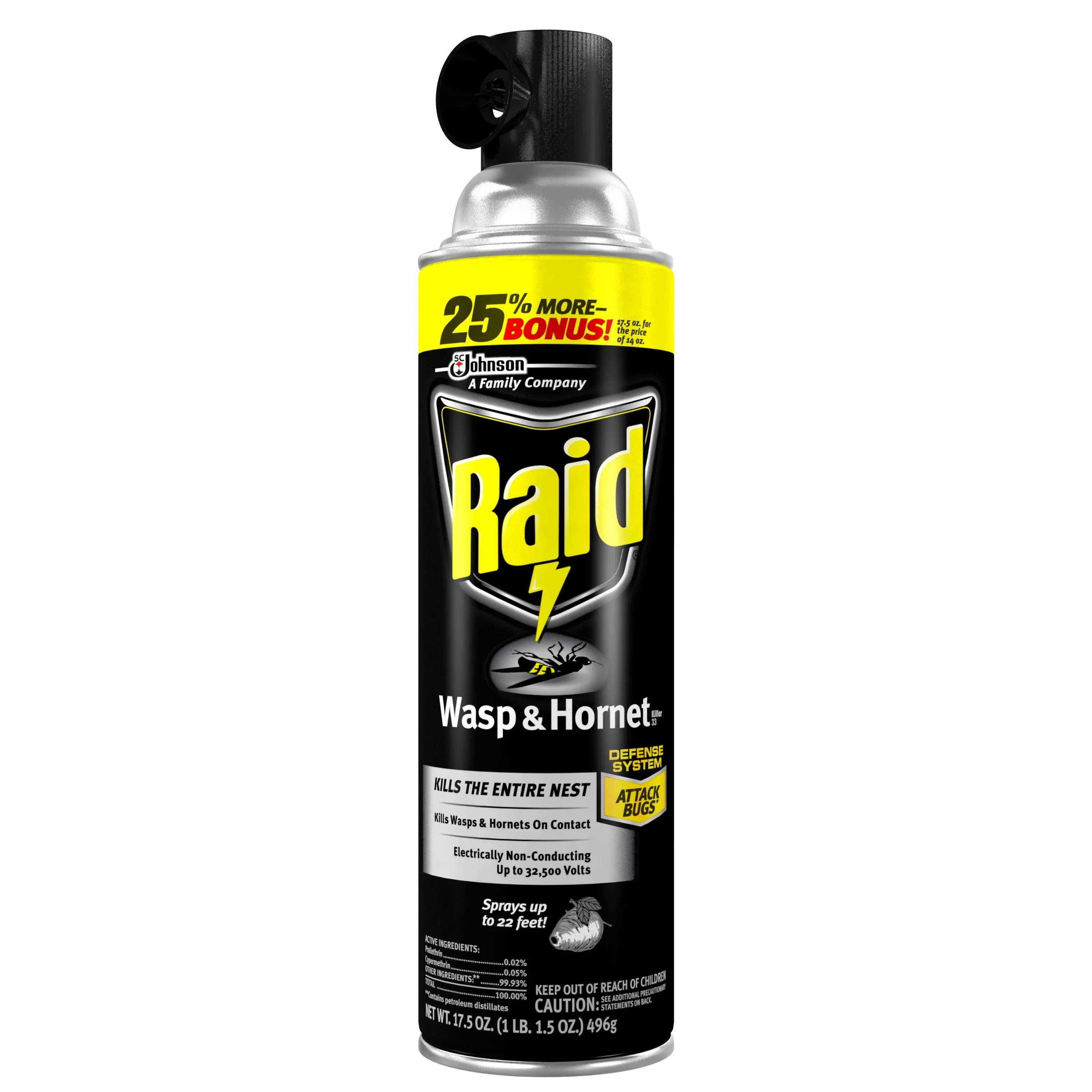 Raid Wasp & Hornet Killer, 17.5 oz